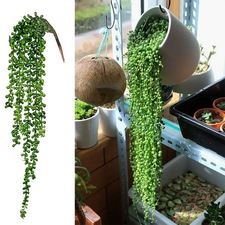 Artificial Succulents Hanging Plants Fake String of Pearls for Wall Home Garden Decor 27 Inches Size & Packaging: Our Artificial Succulents Hanging Plants with 5 branches, each branch varies in length, the longest branch is 68 cm/26.77 inches. Always Vibrant: Artificial succulents hanging plants are UV resistant and made of PVC plastic material with almost natural green leaves that always bring you vitality and good mood. Can be used indoors and outdoors. If you are decorating your garden, we su Pearls Wedding Decor, Bathrooms Shelves, Succulents Hanging, Best Bathroom Plants, Interior Design Plants, Bohemian Decoration, Artificial Hanging Plants, Fake Succulents, Hanging Succulents