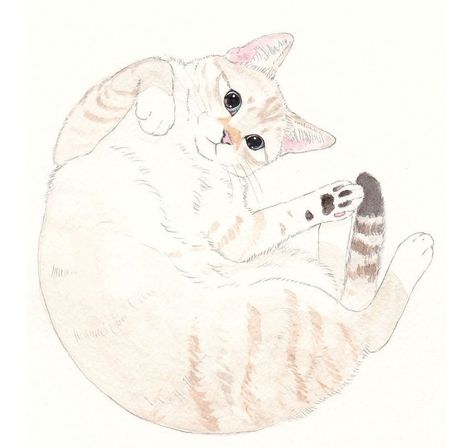 Belly Drawing, Cat Suitcase, Learn Watercolor Painting, Warrior Cat Drawings, Cat Art Illustration, Cat Sketch, 강아지 그림, Animal Drawing, Watercolor Cat