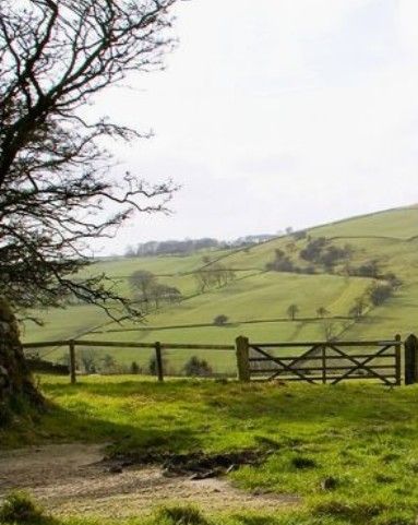 countryside of Oxfordshire, near Rose cottages and gardens, Britain Uk Country Side Aesthetic, Wiltshire Countryside, English Countryside Rain, Farming Uk Country Life, A Field In England, Rural England English Countryside, Oxfordshire Countryside, Uk Countryside, Welsh Countryside