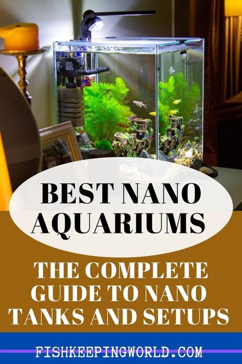 If you are not ready for the commitment of a standard home aquarium because of the size and maintenance that goes along with it, Fishkeeping World recommends a Nano aquarium. These aquariums are typically less than 10 gallons and can fit in smaller home spaces or your office. Check out our review of 5 Nano fish tanks to find the one that you want. Also included are some maintenance tips for these tanks that are distinct from their larger counterparts. Get the list��… #nano #aquariums #nanotanks Planted Nano Tank, Nano Fish Tank, Freshwater Aquascape, Nano Reef Tank, Miniature Aquarium, Fish Ideas, Small Fish Tanks, Fish Keeping, Nano Aquarium