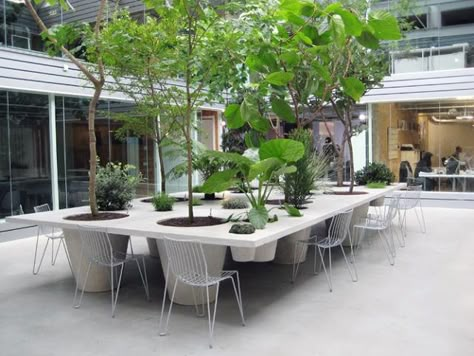 a f a s i a: ANOUK VOGEL LANDSCAPE ARCHITECTURE Table With Plants, Cheap Patio Furniture, Terrasse Design, Urban Furniture, Street Furniture, Garden Table, Outdoor Design, Landscape Architecture, Land Scape