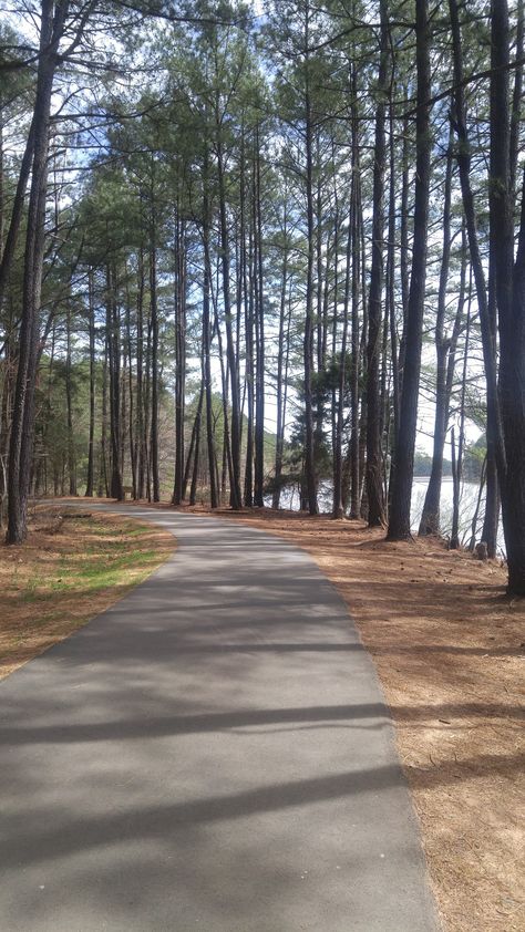 Lake Johnson Park Trail in Raleigh, NC: A paved loop around the lake and a series of natural wooded paths through woodlands. #trails #trail #nature #beautiful #LakeJohnson #lake #hike #hiking #Raleigh #outdoors #woodlands #photography #naturephotography Walking Trails Design, Woodlands Photography, Walking Trails Aesthetic, Acadia Park Loop Road, Boardwalk Nature Trail, List Of Cities, Walking Trail, Road America Elkhart Lake, Vision Board Images