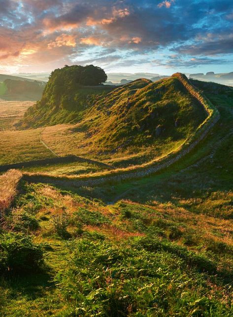 Hadrian Wall, European Bucket List, Ireland Pictures, Hadrian’s Wall, Hadrian's Wall, Rome Art, Sycamore Tree, Hadrians Wall, Pearl Paint