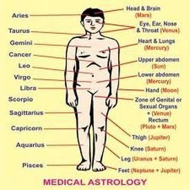 Buy Medical Astrology Course from Brahm Astrology Centre Find Company contact details & address in Delhi, Delhi | ID: 2725425 Astro Science, Medical Astrology, Jyotish Astrology, Astrology Planets, Numerology Chart, Learn Astrology, Astrology And Horoscopes, Tarot Astrology, Astrology Numerology