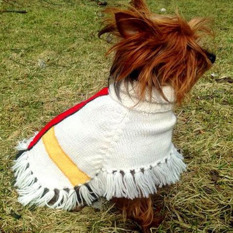 Dog Poncho, Pets Clothing, Alpaca Poncho, Alpaca Coat, Small Boutiques, Cashmere Poncho, Knit Poncho, Alpaca Fiber, Dog Wear