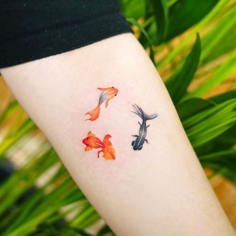 Tattoodo - Find Your Next Tattoo Goldfish Tattoo, Koi Tattoo, Elbow Tattoos, Tatuaje A Color, Badass Tattoos, Dainty Tattoos, Up Tattoos, Small Tattoo, Piercing Tattoo