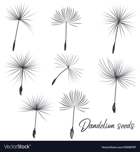 Seed Tattoo, Dandelion Tattoo Design, Small Girly Tattoos, Dandelion Wall Art, Dandelion Tattoo, Clover Tattoos, Dandelion Seeds, Dandelion Designs, Sun Tattoos