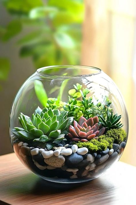 Bring nature indoors with a DIY succulent terrarium! Learn how to make a beautiful, low-maintenance terrarium using succulents, glass containers, and a few simple materials. 🏡✨ #SucculentTerrarium #DIYHomeDecor #GreenLiving #EcoFriendlyCrafts #IndoorPlants Easy Terrarium Diy, Terrarium Easy, Succulent Terrarium Diy, Mini Succulent Garden, Make A Terrarium, Succulents In Glass, Plant Pots Crafts, Terrarium Garden, Diy Succulent Terrarium