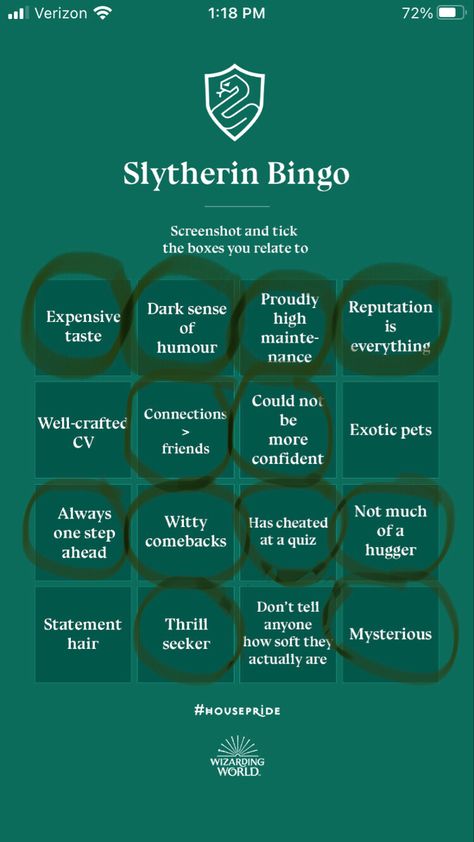 Slytherin Bingo, Harry Potter Houses Slytherin, Potter House, Slytherin House, Harry Potter Houses, Exotic Pets, First Step, Bingo, Harry Potter