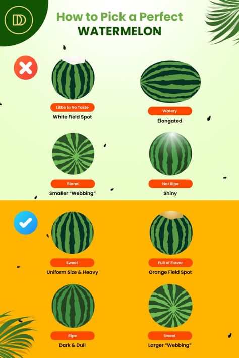 How to Pick a Sweet Watermelon Ripe Watermelon How To Pick A, Watermelon Seasoning, How To Pick A Watermelon, Watermelon Tips, Benefits Of Eating Watermelon, Watermelon Season, Watermelon Refresher, Summer Party Appetizers, Perfect Watermelon