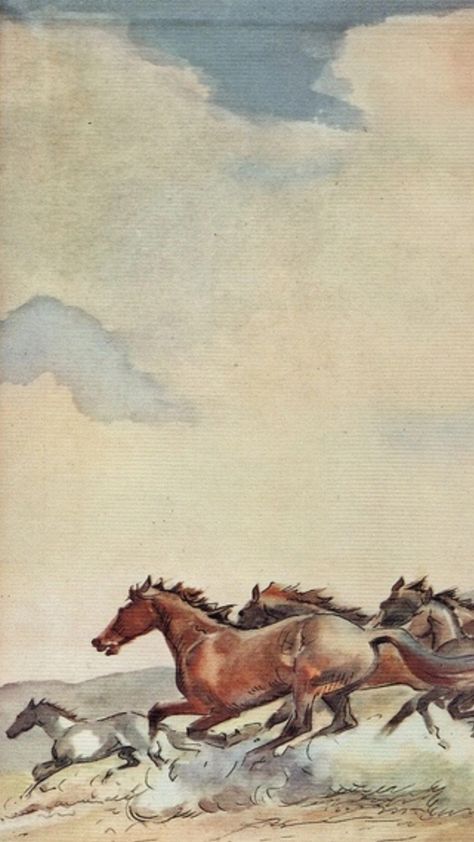 Wesley Dennis Horses, Western Art Wallpaper, Cowgirl Art Wild West, Vintage Horse Art, Vintage Horse Illustration, Horses Illustration, Vintage Western Art, Paul Brown, Western Artwork