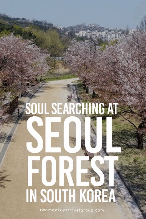 Soul Searching at Seoul Forest in South Korea  Although traveling gives us an opportunity to have time for ourselves, we must always make time for ourselves even when we aren’t on vacation. Learn to love yourself. Do things that will make you happy. Get to know yourself more by listing the things that makes you happy. Seoul Forest, Get To Know Yourself, Learn To Love Yourself, Well Pictures, Know Yourself, Soul Searching, Learning To Love Yourself, Korea Travel, Learn To Love