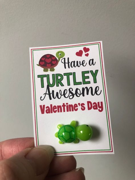 Small Diy Gifts, Sweet Thoughts, Small Turtle, Valentines Day Gifts For Friends, Mini Gift Bags, Turtley Awesome, Mini Animals, Teacher Valentine Gifts, Birthday Friend