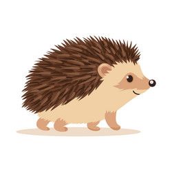 Hedgehog Vector, Hedgehog Cartoon, Hedgehog Clipart, Cartoon Hedgehog, Hedgehog Drawing, Hedgehog Illustration, Alphabet Drawing, Fox Squirrel, Kids Vector