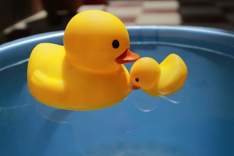 Free Toy Image on Unsplash Giraffe Toy, Cube Toy, Duck Toy, Free Toys, Rubber Ducks, Focus Photography, Cube Puzzle, Lego Toys, Visual Aesthetics