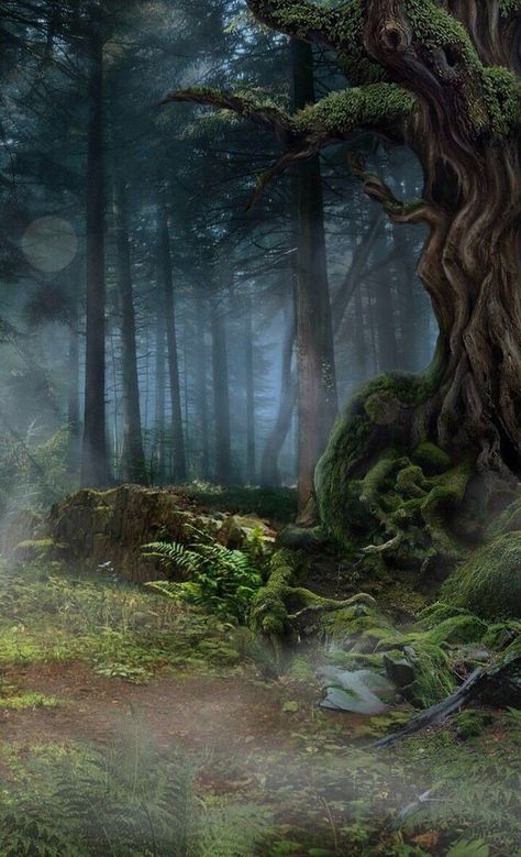 Wattpad Background, Dark Forest Aesthetic, Anime Places, Medieval Paintings, Forest Background, Female Art Painting, Visual Aesthetics, Fantasy City, Forest Wallpaper