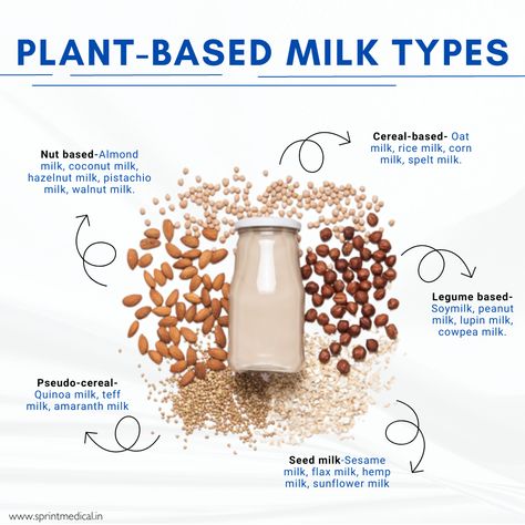 Plant-Based Milk Types Milk Types, Rethink Your Drink, Magazine Content, Vegan Milk, Milk Alternatives, Healthy Lifestyle Food, Plant Based Milk, Nut Milk, Dairy Milk