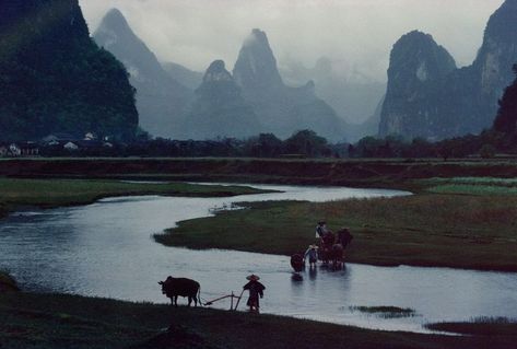 Bruno Barbey, Rice Paddies, Guilin, Study Photography, Photographer Portfolio, Scene Design, Jrr Tolkien, Magnum Photos, Foto Art