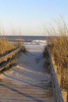 Myrtle Beach State Park in South Carolina provides a quiet escape for the bustling beach. Carolina Beach Boardwalk, Myrtle Beach Trip, South Carolina Beach, Myrtle Beach State Park, Beach Road Trip, Florida Parks, Myrtle Beach Vacation, South Carolina Beaches, Beach Boardwalk