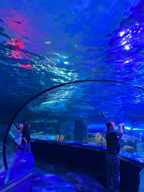 Ripley’s Acquarium in Myrtle Beach was a must-do #travel #beach #vacation #aesthetic #fun #summer Myrtle Beach Aesthetic, Beach Date Aesthetic, Mrtyle Beach, Mya Core, Beach Vacation Aesthetic, Myrtle Beach Things To Do, 50 States Travel, Myrtle Beach Trip, Beach 2024