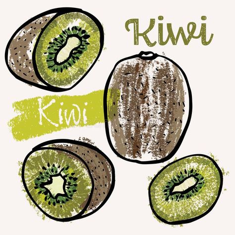 Kiwi Outline, Fruit Line Art, Cookbook Design, Crayon Drawings, Hand Drawn Vector Illustrations, Kiwi Fruit, Free Illustration, Hand Drawn Vector, Book Style