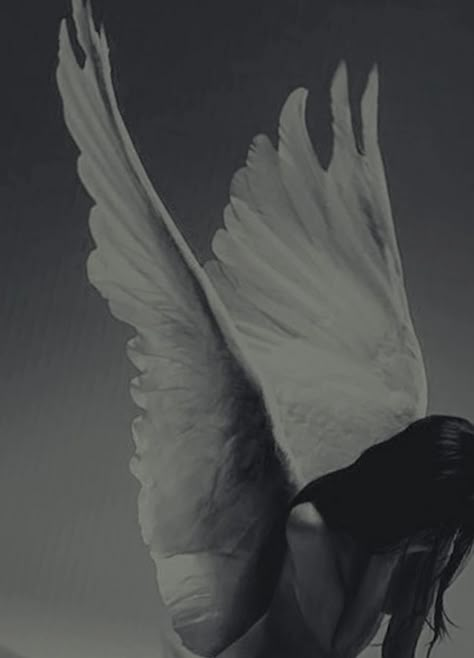 Fallen Angels Wallpapers, Mysterious Photography, Smith Aesthetic, Angelic Aesthetic, Ariana Grande Drawings, Angel Aesthetic, Cover Art Design, Beautiful Dark Art, Fantasy Aesthetic