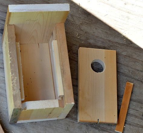 Make a bluebird house from only 1 board Bluebird Houses, Bluebird House Plans Diy, Blue Birdhouse Plans, Bluebird Box Plans, Diy Purple Martin Birdhouse Plans, Bluebird House Plans, Bird House License Plate Roof, Eastern Bluebird Nest Box Plans, Bluebird House