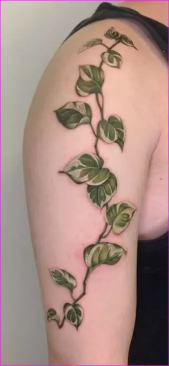 Vining Plant Arm Tattoo, Womens Vine Tattoos, Leaf Neck Tattoos Women, Pothos Plant Line Drawing, Vine Tattoos Color, Plant Tattoos Color, Colored Plant Tattoo, Freehand Vine Tattoo, Green Ivy Tattoo