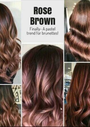 Rose Brown Hair, Brown Hair Cuts, Long Dark Brown Hair, Rose Gold Hair Brunette, Brown Hair Trends, Highlights Ombre, Brown Ombre Hair, Hair Color Unique, Flattering Hairstyles