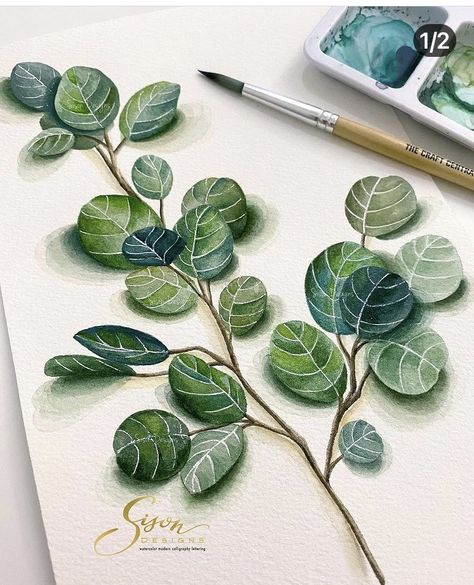 Botanical Sketchbook, Watercolour Inspiration, Gouache Art, Watercolor Flower Art, Watercolor Painting Techniques, Watercolor Art Lessons, Watercolor Paintings Tutorials, Botanical Painting, Watercolour Art