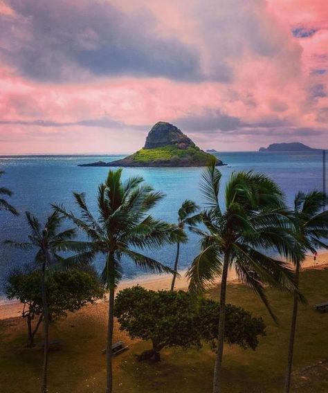 Tourism Hawaii on Instagram: "Just wow!!!! 📸: @kamaki_kine * * * * * #beautiful #love #heart #nature #tropical #beautifuldestinations #nakedhawaii #Hawaii #Hawaiian #HawaiiTag #HawaiiLife #waikiki #honolulu #oahu #bigisland #kauai #hawaiistagram #OahuHawaii #aloha #GoHawaii #influencer #travel #ocean #HiLife #surf #sunset #hawaiianstyle #earthpics #travelshots #earth" Heart Nature, Honolulu Oahu, Earth Pictures, Hawaii Life, Hawaiian Style, Oahu Hawaii, Hawaiian Islands, Big Island, Island Life