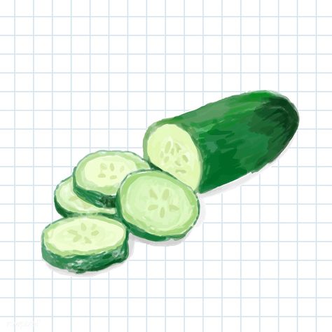 Hand drawn cucumber watercolor style | free image by rawpixel.com Cucumber Watercolor, Cucumber Drawing, Cucumber Illustration, Salad Drawing, Zucchini Healthy, Kids Lemonade Stands, Food Frame, Kids Lemonade, Natural Form Art