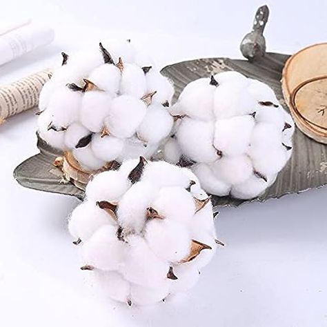 Amazon.com: CIR OASES 4.5 Inch Cotton Decor Balls for Rustic Farmhouse Decor，Ornaments，Vase Bowl Filler, Trays, Weddings, Parties, White/Brown, Set of 6 : Home & Kitchen Cotton Centerpiece, Indoor Topiary, Decor Balls, Decorative Bowl Filler, Farmhouse Table Decor, Cotton Decor, Decorative Balls, Cotton Wedding, Wedding Display