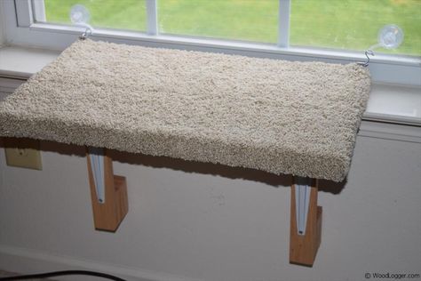 In this post I do a step by step approach of how to build a Cat Window Perch. This easy DIY project can be made easily and cheap for your pet kitty cats. Diy Cat Window Perch, Diy Cat Window, Make A Window, Cat Window Bed, Diy Window Seat, What Cats Can Eat, Cat Toilet Training, Dog Window, Herding Cats