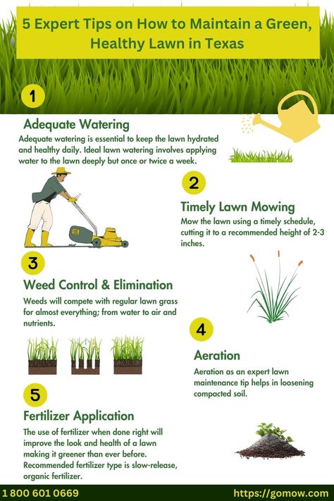 For lawn owners, certain expert lawn maintenance tips are important to keep the lawn green and beautiful through the year. We have discussed 5 expert lawn maintenance tips for greener grass in Texas.   1.) Adequate Watering 2.) Timely Lawn Mowing 3.) Weed Control & Elimination 4.) Aeration 5.) Fertilizer Application  At GOMOW Lawn Care Service, we provide a reliable lawn mowing service designed to meet your needs and timetable. Hiring a regular lawn care service makes it possible for the lawn to be healthy, lush and green.   #LawnCare, #LawnCareandMaintenance, #LawnMowingService Fall Lawn Care, Greener Grass, Fall Lawn, Lawn Irrigation, Aerate Lawn, Lawn Care Tips, Lawn Mowing, Healthy Lawn, Lawn Maintenance