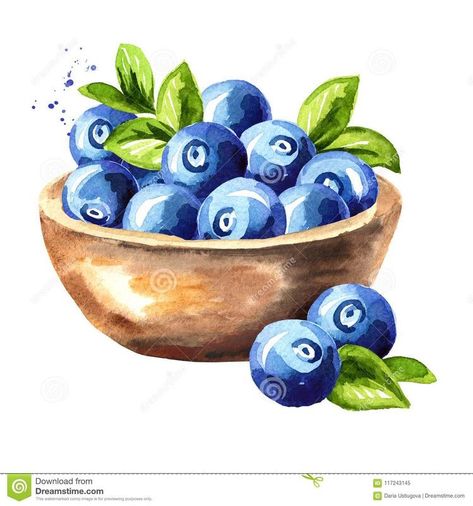 Bowl Of Blueberries, Blueberry Drawing, Blueberry Illustration, Blueberry Watercolor, Drawing Magic, Vegetable Art, Watercolor House Painting, Blue Berries, Watercolor Beginner