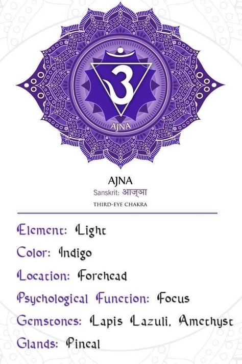 Indigo Chakra, Chakras Colors, Holistic Yoga, 7 Chakras Meaning, Third Eye Chakra Healing, Chakra Quotes, Red Chakra, Chakra Painting, Ajna Chakra