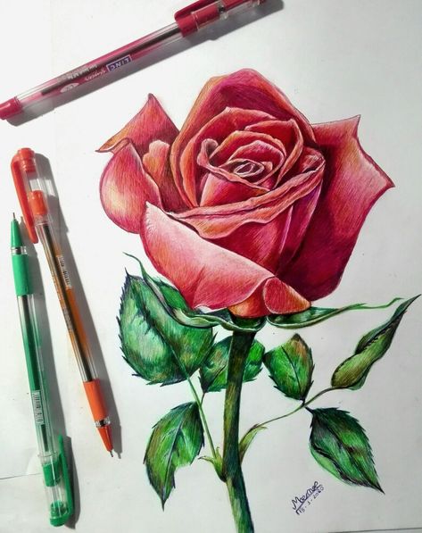 Flower Drawing With Color Pencil, Modern Rose Tattoo, Art Work Ideas, Rose Digital Art, Realistic Rose Drawing, Rose Drawing Simple, Gel Pen Art, Botanical Rose, Rose Artwork