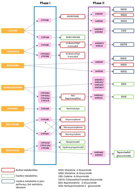 Pharmaceutics | Free Full-Text | Pharmacological Treatments and Therapeutic Drug Monitoring in Patients with Chronic Pain Pain Scale, Musculoskeletal Pain, Cerebrospinal Fluid, Cortisol Levels, Pharmacology, Chronic Pain, Pain Relief