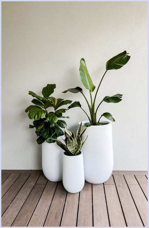 [Promotion] 38 Garden Pots Ideas Outdoor Planters Patio Tricks You Need To Know Now #gardenpotsideasoutdoorplanterspatio Set Of 3 Potted Plants Outdoor, 3 Pot Planter Ideas, Plants In White Pots, White Pots For Plants Outdoor, Small Patio Set Up Ideas, White Balcony Decor, White Pot Plants, Pot Plants Outdoor Patio, White Coastal House Exterior