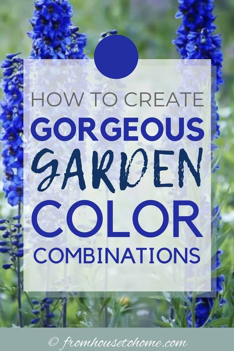 Garden Color Schemes (How To Create Gorgeous Garden Color Combinations) - Gardening @ From House To Home Garden Color Combinations, Colorful Garden Ideas, Relaxing Garden, Cottage Garden Design, Cottage Garden Plants, Easy Landscaping, Purple Garden, Blue Garden, Landscaping Tips