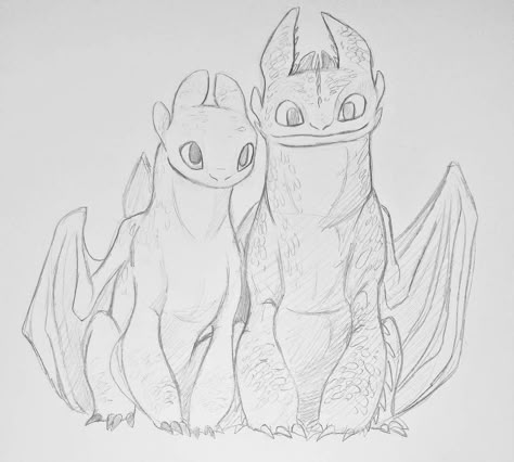 Light Fury And Toothless, Toothless Drawing, Httyd Art, Light Fury, Dragon Sketch, Httyd Dragons, Dragon Trainer, Train Your Dragon, Pinturas Disney