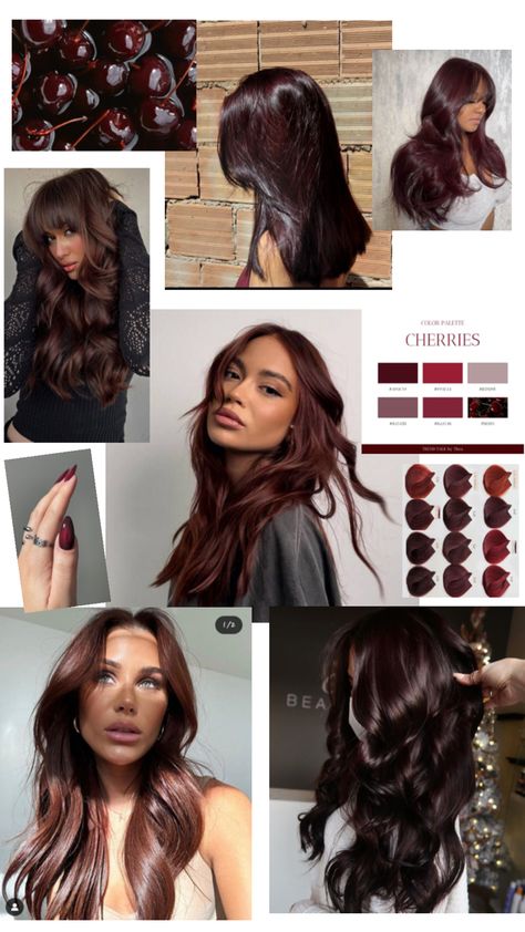 Dark Cherry Hair Color, Chocolate Brunette Hair Color, Chocolate Brunette Hair, Black Cherry Hair Color, Black Cherry Hair, Hair Color Chocolate, Wine Hair, Cherry Hair, Hair Tint