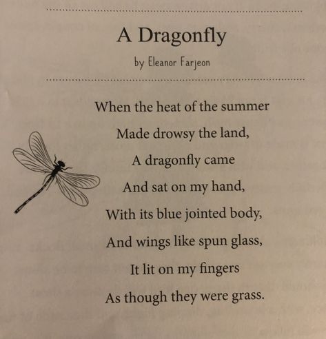 Quotes About Dragonflies, Cicada Poem, Dragonfly Poem, Dragonfly Sayings Quotes, Poem Butterfly, Dragonfly Quotes, Life Journal, Nature Study, Dragonflies