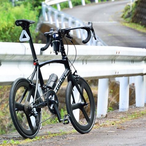 Giant Bikes, Mini Velo, Scooter Bike, Folding Bicycle, Bike Style, Bicycle Design, Folding Bike, Mini Bike, Road Bike