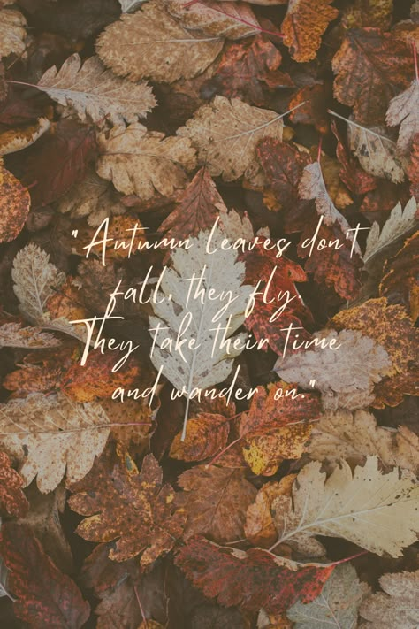 A quote over image of fallen leaves during fall season for outdoor adventures. Quote says Autumn leaves don't fall, they fly. They take their time and wander on. Autumn colors. Autumn Is Proof That Change Is Beautiful, Leaves Changing Quotes, Autumn Aesthetic Captions, Falling Leaves Quotes, Quotes About Leaves, Quotes On Autumn, Autumn Leaves Quotes, Fall Leaves Quotes, Autumn Vibes Quotes