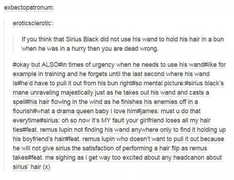 Sirius Black Using his Wand to Hold up his Hair Romantic Headcanons, Wolf Star Headcanons, Medici Masters Of Florence, Wolf Star, Yass Queen, Yer A Wizard Harry, Harry Potter Headcannons, Heck Yeah, Lily Evans