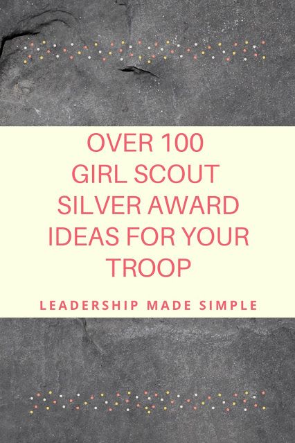 Cadette Silver Award Ideas, Cadette Meeting Ideas, Silver Award Ideas Cadette, Girl Scout Silver Award Ideas, Girl Scout Cadette Meeting Ideas Fun, Cadette Girl Scouts, Cadette Badge Ideas, Cadette Journey, Cadette Girl Scout Badges