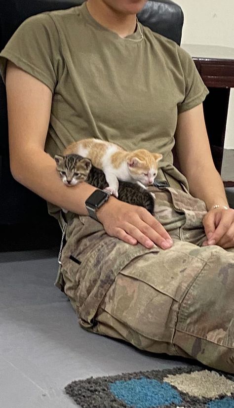 Army Sergeant Working to Rescue Stray Cat and Kittens | PEOPLE.com Cat Special Forces, Men And Cats, Soldiers With Cats, Cat Soldier, Army Cats, Working With Animals, 3 Kittens, Military Appreciation Month, Army Aesthetic