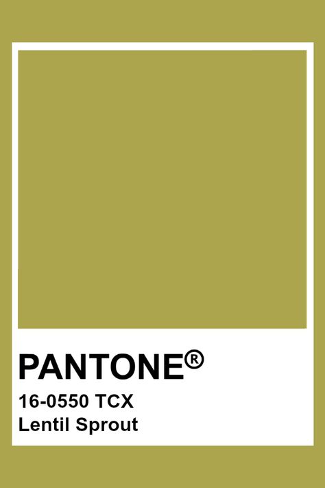 Autumn Pantone, Tcx Pantone, Golden Cypress, Pantone Cards, Pantone Green, Pantone Tcx, Pantone Color Chart, Pantone Swatches, Pantone Colours